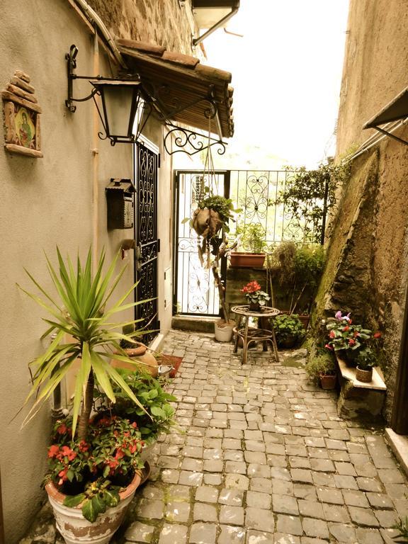 Vistalago Guesthouse Nemi Εξωτερικό φωτογραφία